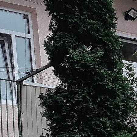 Transfer Apartment 利沃夫 外观 照片