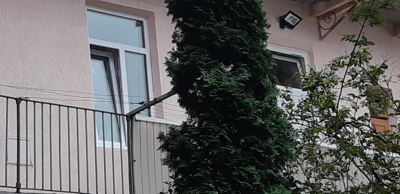 Transfer Apartment 利沃夫 外观 照片